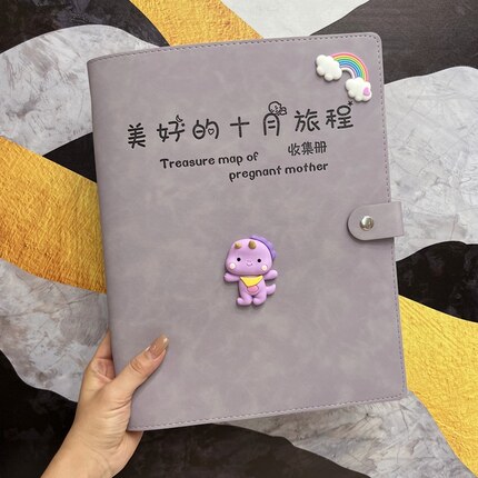 孕检收纳册龙宝宝活页软皮怀孕产检资料收纳袋孕妈妈检查单记录册