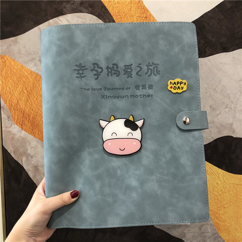 소  임신 테스트 수납장 귀여운 B-초음파 산전 검진 보고서 시트 임산부 검진 시트 A4A5 ??임신 파일장