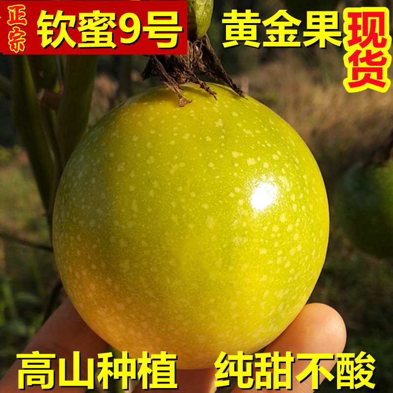 纯甜广西钦蜜9号黄金百香果新鲜5斤包邮一级特大果现摘当季整箱10