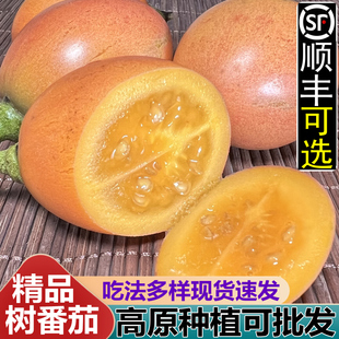 顺丰可选现货大树番茄5斤新鲜洋酸茄云南特产蔬菜水果鸡蛋西红柿