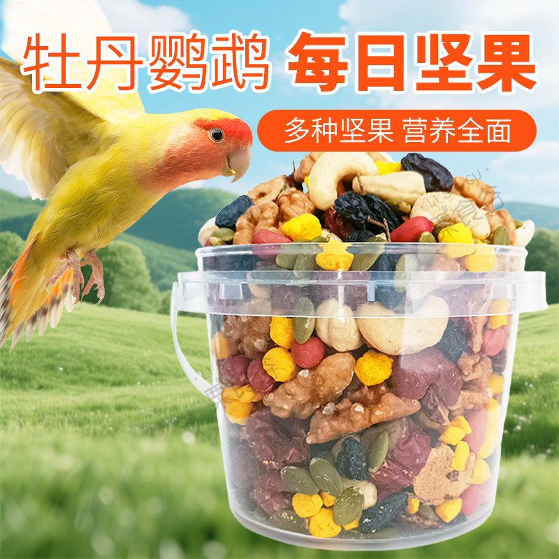 牡丹鹦鹉坚果零食互动腰果核桃仁黑加仑南瓜籽中大型鸟宠美毛亮羽