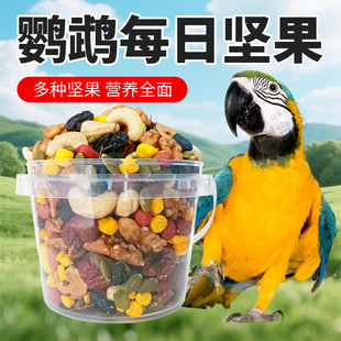 鹦鹉坚果零食互动腰果核桃黑加仑蛋黄粒中大型鸟宠美毛亮羽混合粮
