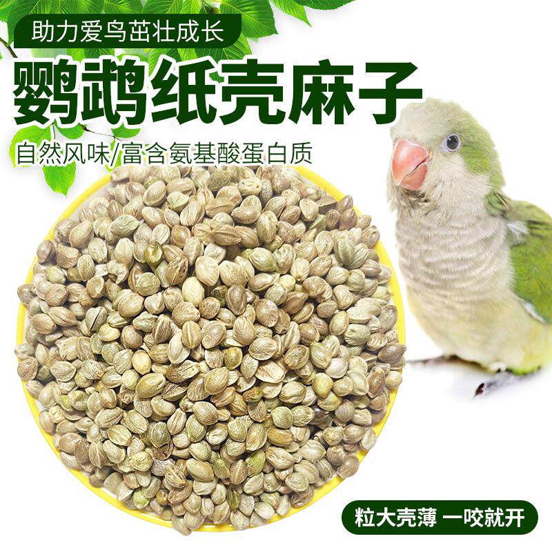 鹦鹉圆麻子纸壳麻子当季新粮