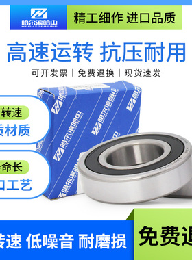 哈尔滨轴承6300 6301 6302 6303 6304 6305 6306 6307 2RS ZZ高速