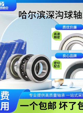 哈尔滨轴承大全6032 6034 6036 6038 6040 6044 6048 2RS ZZ 高速