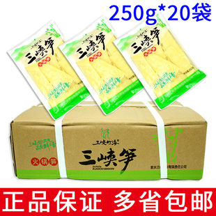 整箱10/20袋包邮三峡竹海火锅笋片250g 大包装火锅冒菜配菜食材
