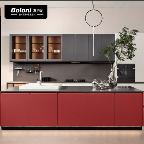 BOLONI环保PET板材整体厨房