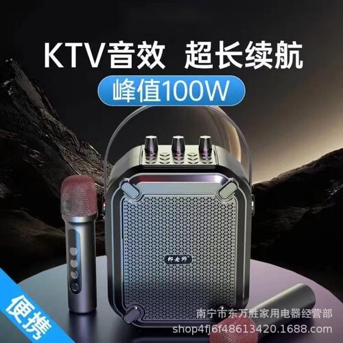 邦老师ST03乐器二胡教师便携扩音器广场舞唱歌音响喇叭带话筒