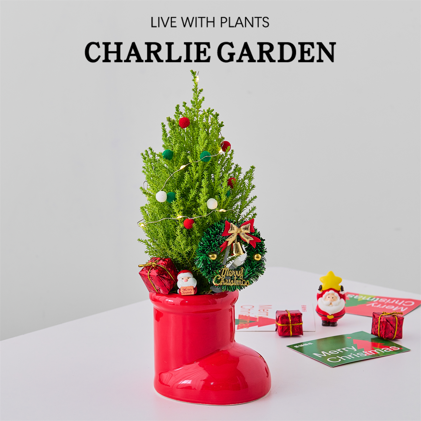 圣诞树盆栽室内桌面装饰