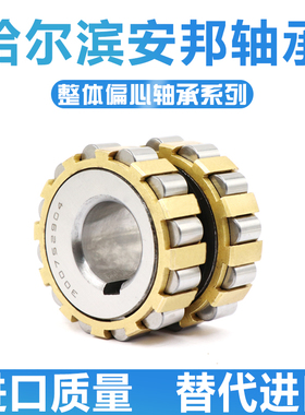 减速机偏心轴承70752202K 80752202 100752202 130 150752202 180