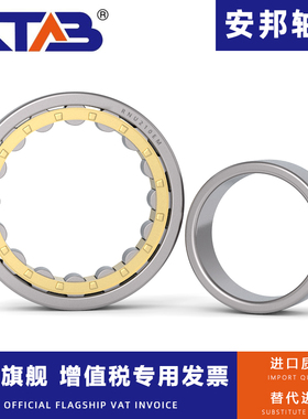 安邦圆柱滚子轴承 RNU215 216 217 218 219 220 EM