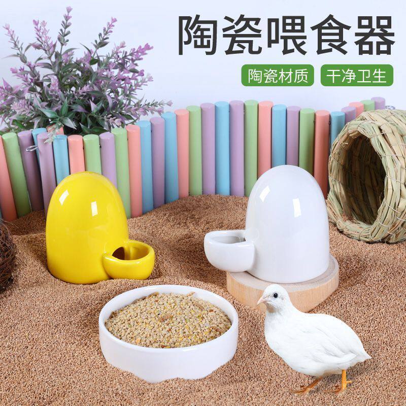芦丁鸡陶瓷喂水喂食器雏鸡食盒