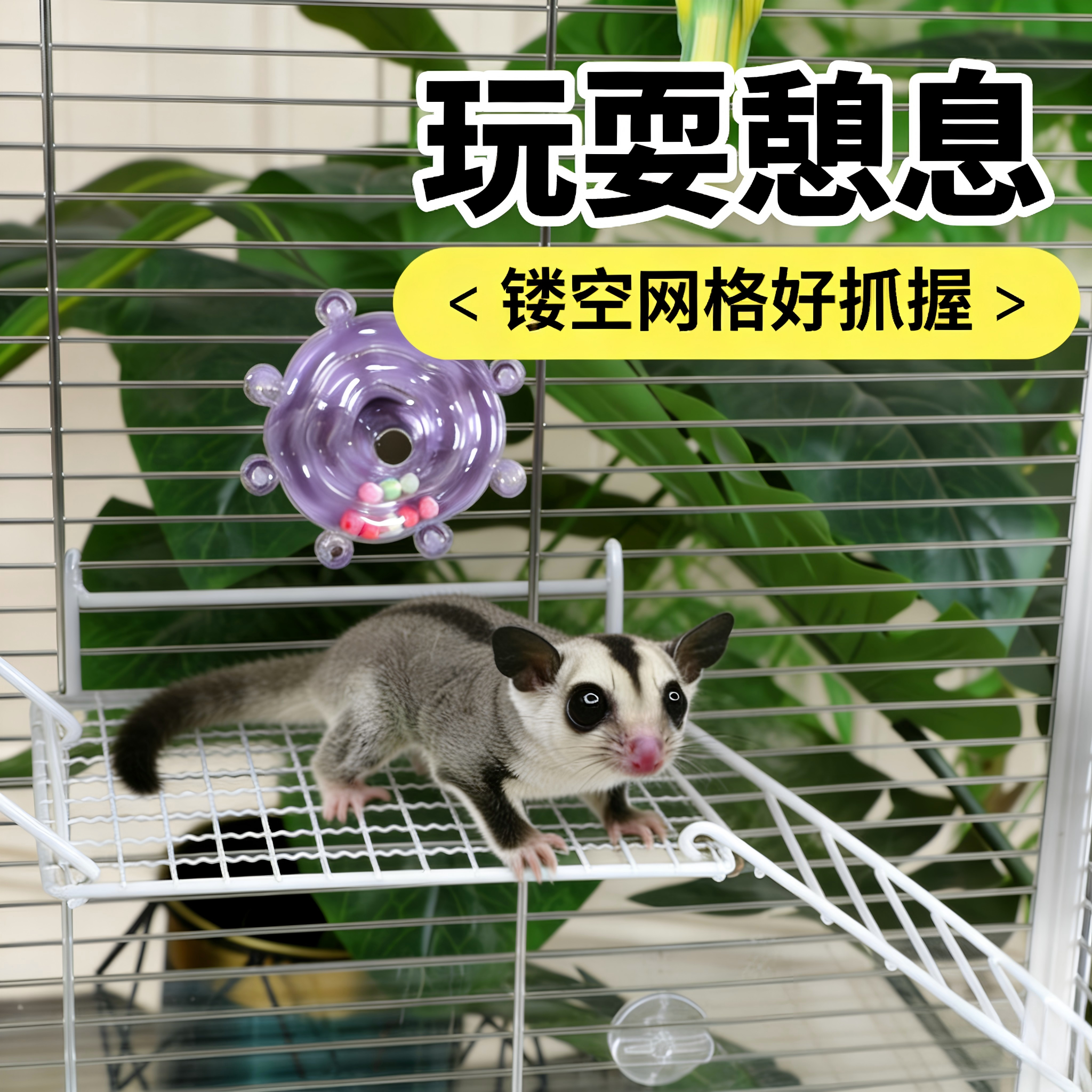 蜜袋鼯攀爬乐园套餐大平台爬网站台爬梯鹦鹉金丝熊通用玩具套装