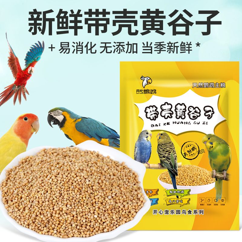新黄谷子带壳小米虎皮牡丹玄凤中
