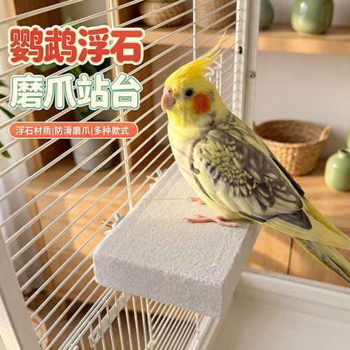 鸟用磨砂站板站台鹦鹉跳台玩具鸟站台玄凤磨牙磨爪休息玩耍站杆