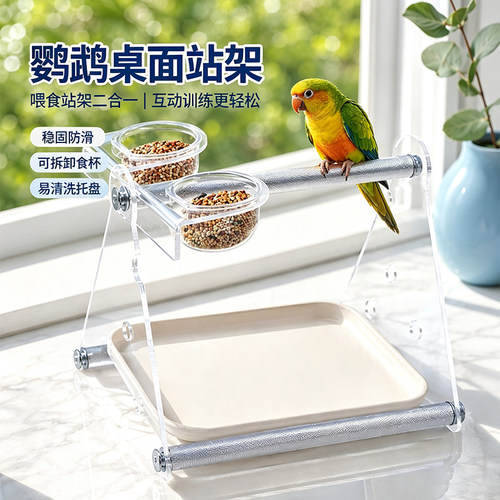 鹦鹉拉屎站架定点排便桌面站架垃圾桶玄凤牡丹室内训练站杆鸟架