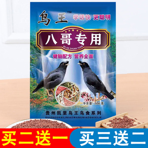 鸟王系列健脑配方营养全面八哥