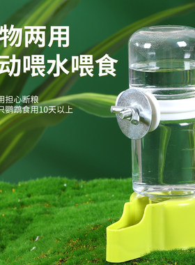 喂水下料器喝水鸟食盒