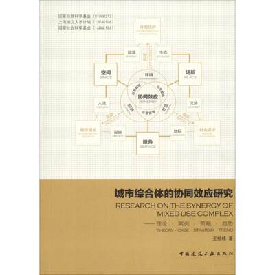 城市综合体的协同效应研究——理论·案例·策略·趋势 王桢栋 著 建筑/水利（新）专业科技 新华书店正版图书籍