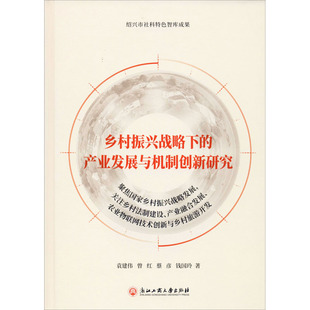 励志 社 袁建伟 浙江工商大学出版 图书籍 新华书店正版 各部门经济经管 著 等 产业发展与机制创新研究 乡村振兴战略下