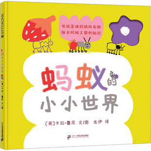 绘 小小世界 龙伊 蚂蚁 儿童文学少儿 二十一世纪出版 卡拉·鲁尼 图书籍 英 社集团 著 新华书店正版 译