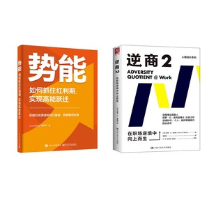 译等 励志 实现高能跃迁 保罗·G.史托兹 著 美 如何抓住红利期 在职场逆境中向上而生 礼仪经管 逆商 苑东明 势能
