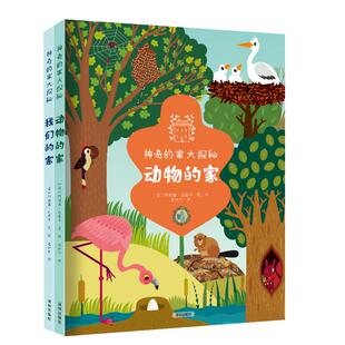 神奇的家大探秘(全2册) (意)阿涅塞·巴鲁齐 著 惠伊宁 译 绘本/图画书/少儿动漫书少儿 新华书店正版图书籍 深圳出版社
