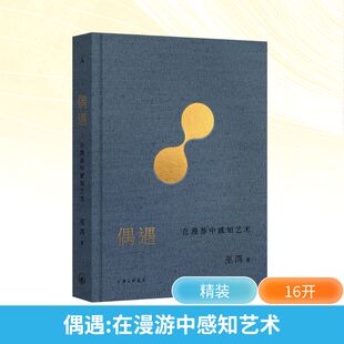 偶遇 在漫游中感知艺术 (美)巫鸿 著 艺术理论（新）艺术 新华书店正版图书籍 上海三联书店