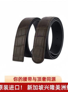美洲鳄鱼皮带礼盒装湾鳄鳄鱼腰带