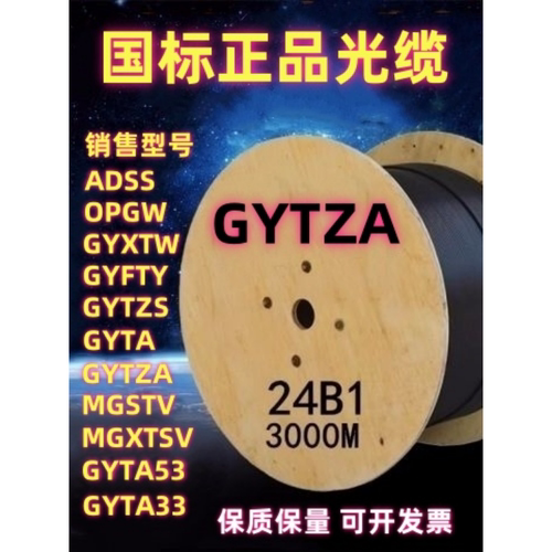 GYTZA-8B1.3室外24芯阻燃光缆 国标铠装防爆光纤 12 24 48 96芯