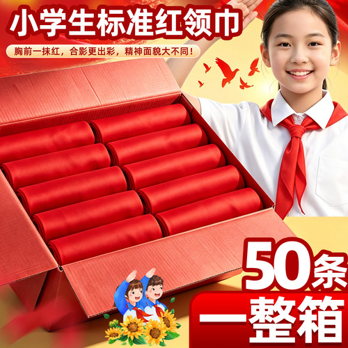 【50条一整箱】红领巾小学生