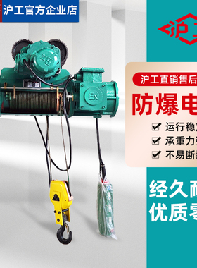 沪工BCD型防爆电动葫芦钢丝绳1吨2吨3吨5吨10吨T行车吊机起重机