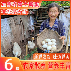 正宗农家散养鹅蛋孕妇月子