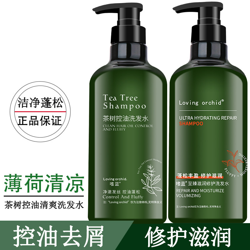 嗜蓝茶树控油洗发水清洁头皮洗发乳丰盈蓬松精华清爽薄荷清凉