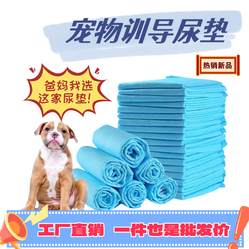 宠物尿垫狗尿垫大号一次性尿片加厚除臭引导上厕所金毛泰迪生产垫,宠物/宠物食品及用品,尿片/尿垫/护垫,淘宝优惠券,粉丝福利购,淘宝优惠卷