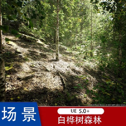 虚幻MW Paper Birch Tree Forest Biome 1.3白桦树森林场景UE5