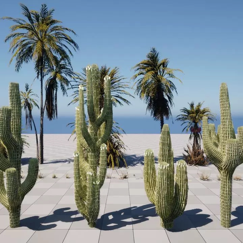 UE5高精度沙漠棕榈树仙人掌Desert Vegetation (HQ Desert Plants