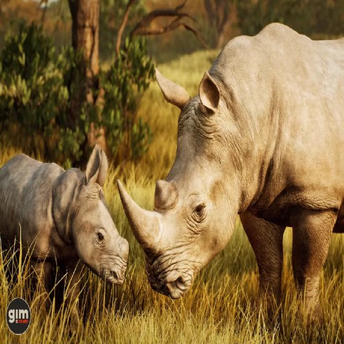 Unity动画非洲犀牛动物 Animalia - White Rhinoceros pack 2.3.1
