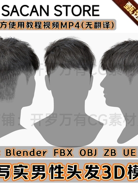 3DScanStore写实毛发男性角色插片锅盖发型头发3D模型Blender FBX