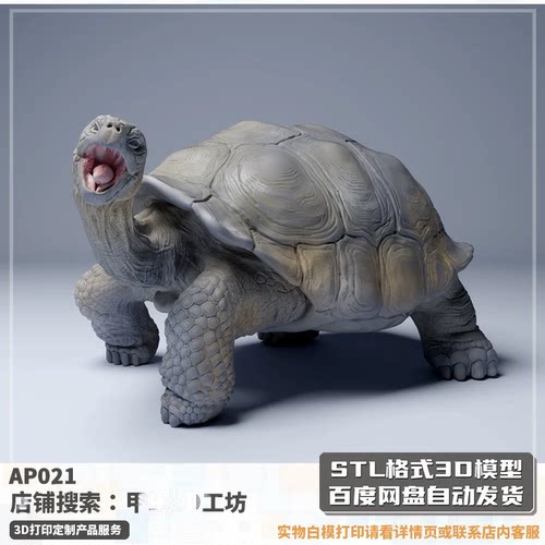 象龟大陆龟动物立体STL高精度3D打印模型图纸GK树脂手办白模定制