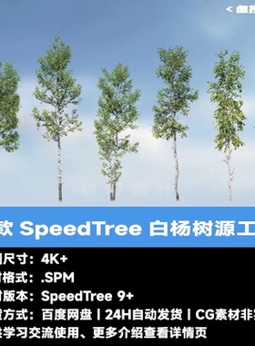 6款SpeedTree白杨树源工程 树木软件SpeedTree工程文件 spm影视版