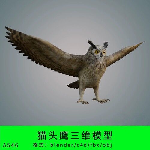 猫头鹰三维模型3d素材blender/c4d/fbx/obj写实动物鸟类夜猫子
