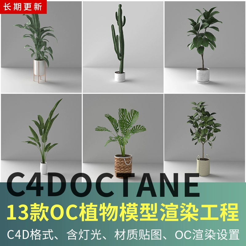 C4D模型 OC室内植物盆栽渲染工程 含材质球通道贴图灯光 设计素材