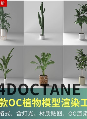 C4D模型 OC室内植物盆栽渲染工程 含材质球通道贴图灯光 设计素材