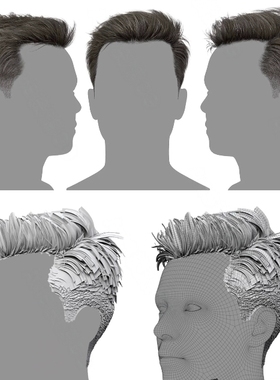 3DScanStore高质量插片毛发男性人物短发插片头发3D模型blend fbx