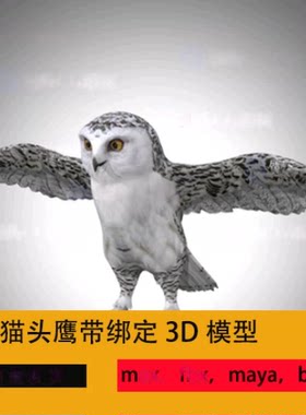 3dmax猫头鹰带绑定 猫头鹰爪子动物3D模型飞禽翅膀羽毛鸟类雪鸮
