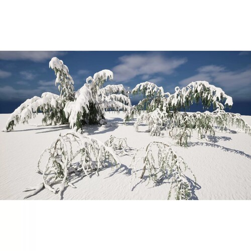 UE5.5冬季积雪松树Winter Snow Plants Cedrus atlantica Glauca