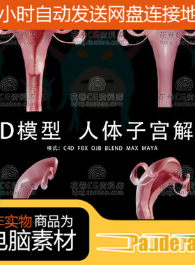 H052-C4D/MAYA/3DMAX三维素材 医学人体子宫解剖 3D模型素材