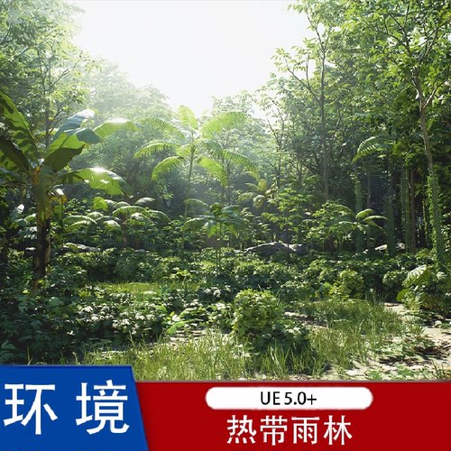 虚幻Rain Forest Pack V1.2最新版热带雨林树森林写实环境场景UE5