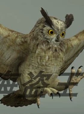 GREAT HORNED OWL 大角鸮猫头鹰角色模型带动画 虚幻5 UE4